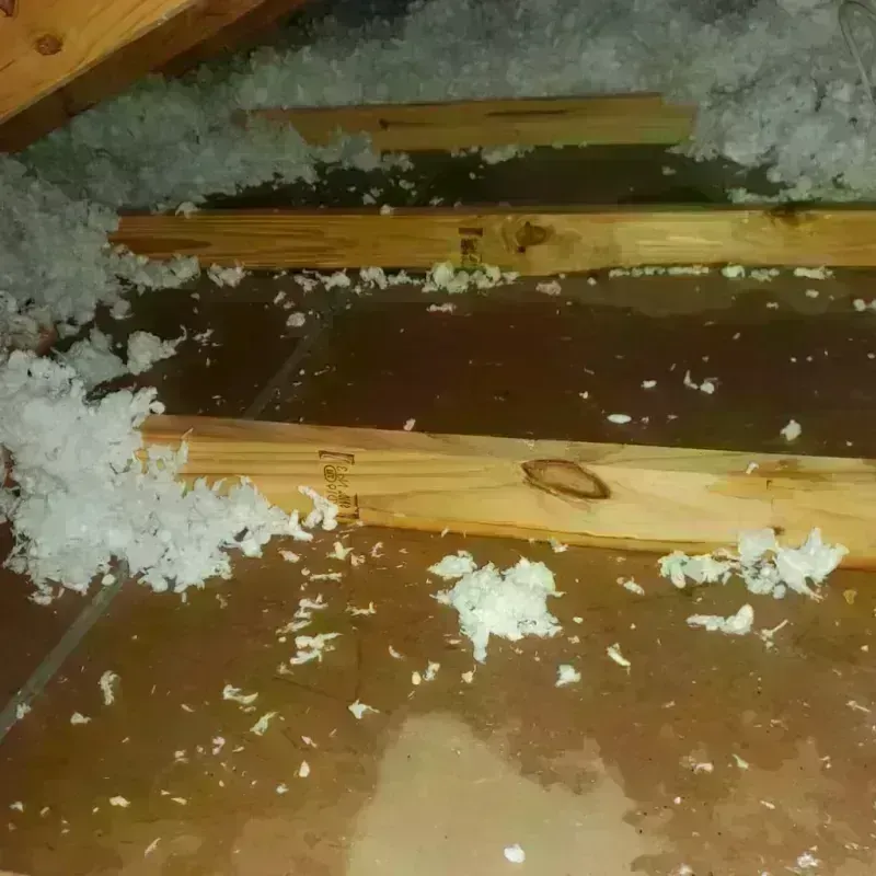 Attic Water Damage in New Richmond, OH