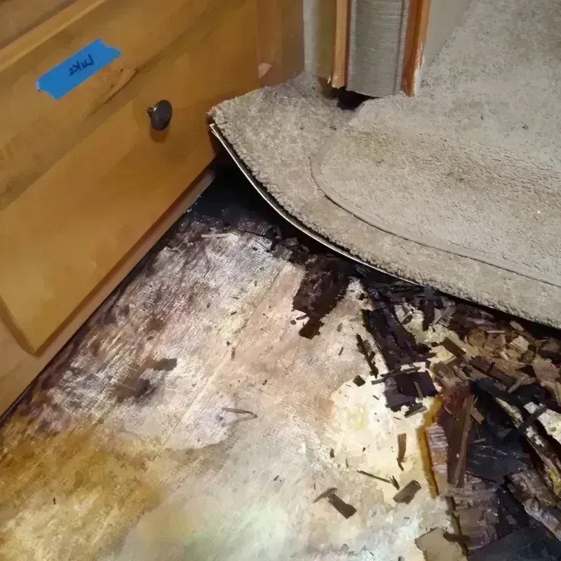 Wood Floor Water Damage in New Richmond, OH